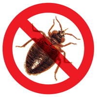 No Bed Bugs