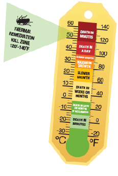 Heat Treatment Thermometer